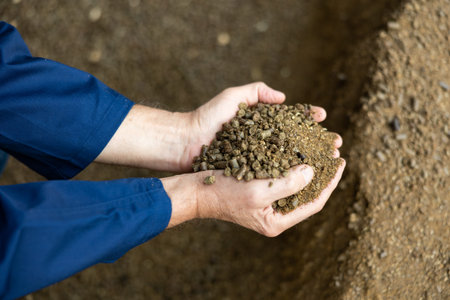 Close up of farmer hands holding animal feed granulated rapeseed meal at farm storage area