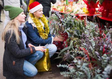 Woman with teenage daughter looking for potted plants at Christmas street marketの写真素材