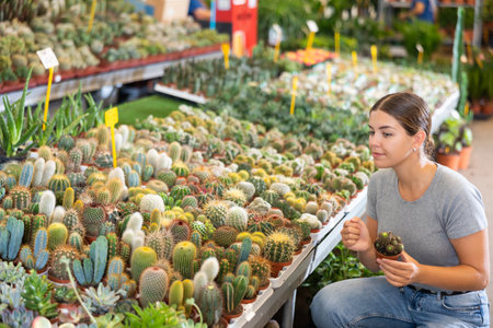 Young woman looking for potted cacti at flower marketの写真素材