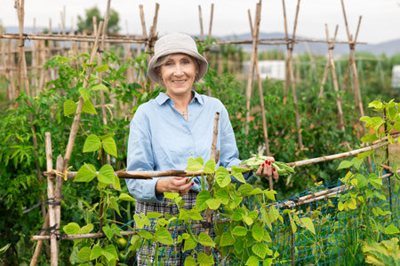 Senior female gardener working in her farm smiling.の写真素材