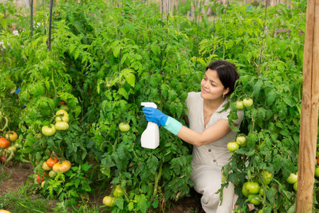 Asian woman spraying tomatoesの写真素材