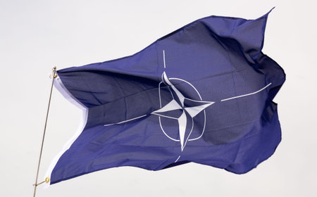 Waving Flag of OTAN