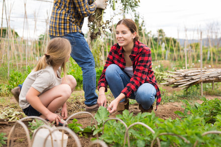 Woman gardener and little girl planting seedlings at a gardenの写真素材