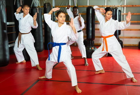 Polyethnic men and women in kimono exercising kataの写真素材
