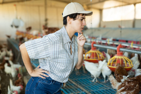 Smiling latin woman in plaid shirt working in chicken farmの写真素材