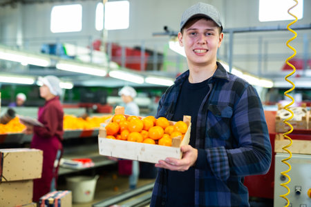 Positive male employee hold a box of fresh ripe tangerines in their hands on citrus sorting line at warehouse.の写真素材