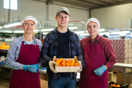 Positive fruit sorting factory workers standing with selected tangerinesの写真素材