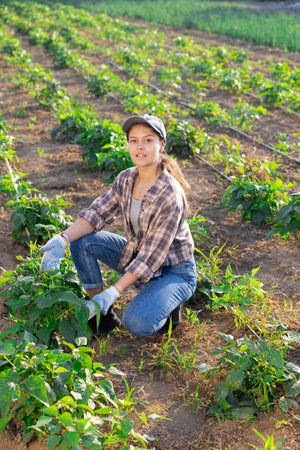 Portrait of satisfied woman demonstrating sprouts of bell peppers on beds of fieldの写真素材