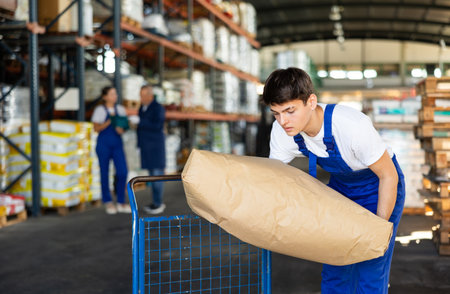 Young man puts bulky paper sack of dry construction mix on trolley.の写真素材