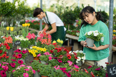 Focused young Asian female consumer in casual wear choosing Petunia flower in pot while buying plants in garden marketの写真素材