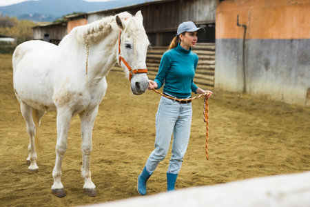Rancher holding rein and leading horse outdoorsの写真素材