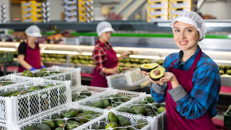 Cheerful sorting factory workwoman holding halves of ripe avocadoの写真素材