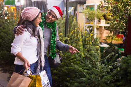 Family couple choosing christmas tree at christmas fairの写真素材