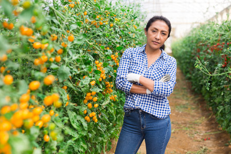 Successful confident Hispanic female grower in greenhouseの写真素材