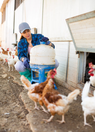 Hired female worker repairing chicken feeders in poultry farmの写真素材