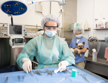Woman veterinarian in full protective gear arranges instrument on desktop, prepares to treat patientの写真素材