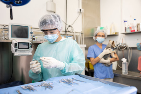 Veterinarian assistant preparing tools for procedures in veterinary clinicの写真素材