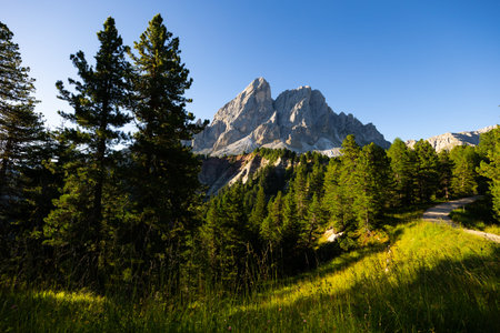 Alpine woodlands at foot of rocky Mont de Fornella in Dolomitesの写真素材