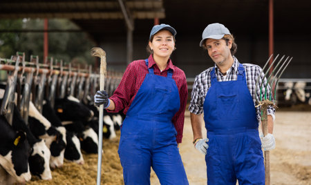 Positive diverse cow farm workers squatting in cowshedの写真素材