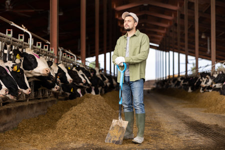 Farmer with shovel working and taking care cowsの写真素材