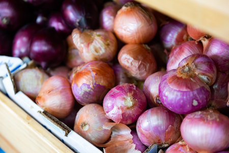 Closeup of fresh purple onion on market counter, onion backgroundの写真素材