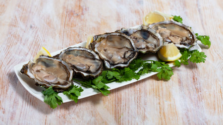 Opened raw oysters with lemon and parsleyの写真素材