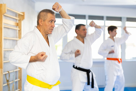 Elderly man performing kata routines at martial arts training with groupの写真素材
