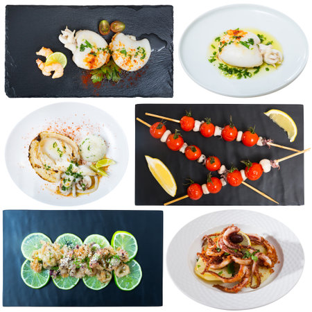 Assorted squid and cuttlefish dishes on a white backgroundの写真素材