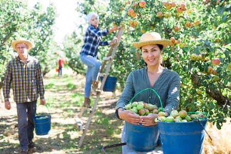 Woman posing near buckets with picked pears