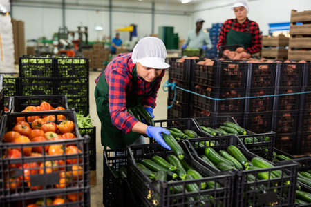 Female worker sorting cucumber at vegetable sorting factory