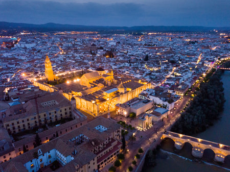 Aerial view of Cordoba at twilightの写真素材