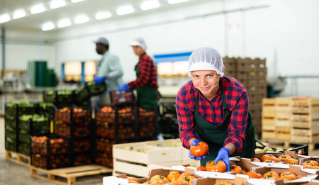 Positive woman sorting and packaging ripe tomatoes in warehouse