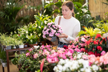 Girl choosing potted flower Azalea indoor plants at flower section of gardening storeの写真素材