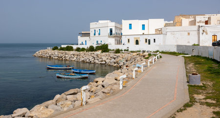 Stony waterfront of Mahdia with fishing boats and white buildings