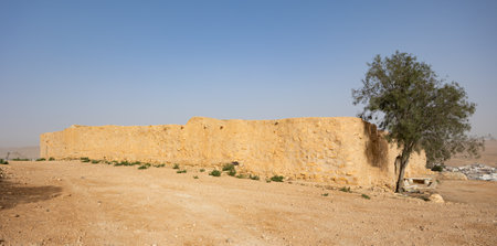 Solitary tree by sunlit weathered earthen wall of Ksar Dagharaの写真素材