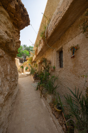 Narrow alleyway with weathered earthen houses adorned with potted plants in serene setting of ancient Tunisian village in greenery of Tamerza oasis..の写真素材