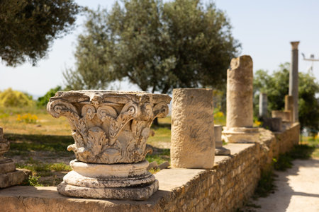 Upper carved part of column is capitello , standing among remains of columns.の写真素材