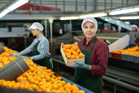 Glad positive female employee in colored uniforms hold a box of fresh ripe tangerines in their hands on citrus sorting line at warehouse.の写真素材