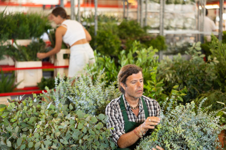 Middle-aged salesman holding bouquet of dry flowers in plants marketの写真素材