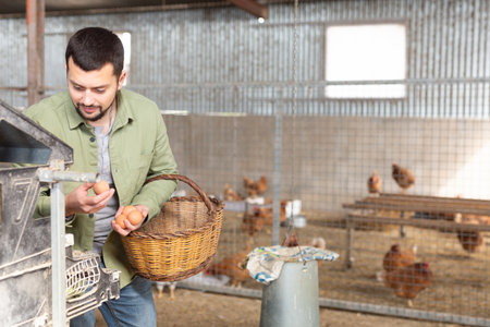 Farmer gathering fresh eggs inside hen houseの写真素材