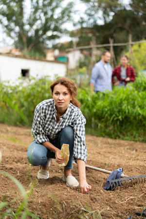 Woman is planting seeds in open groundの写真素材