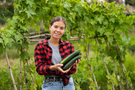 Young woman harvesting cucumbers with her family in fieldの写真素材