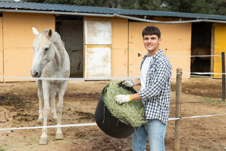 Male worker stands near street corral with basket of hay and feeds horse.の写真素材