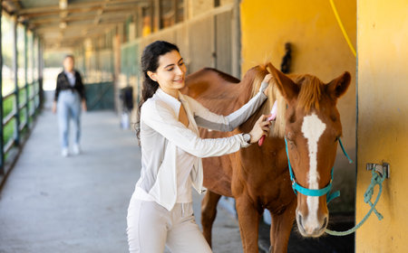 Young woman combing mane of horseの写真素材