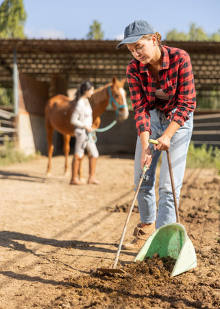 Smiling girl worker scoops horse droppings into shovel and cleans up cattleの写真素材