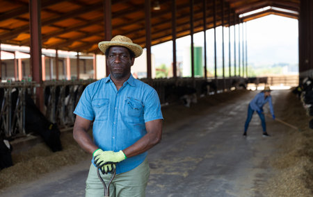 African american farmer holding agricultural tool and standing in cowshed