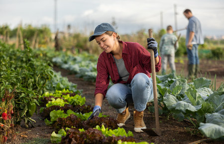Woman with a hoe in the gardenの写真素材