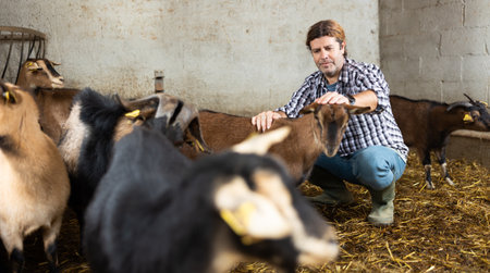 Male worker feeding goats at livestock farmの写真素材