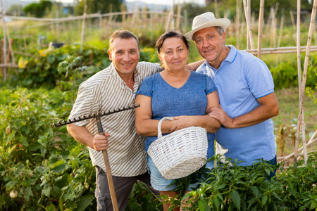 Smiling aged woman and man standing with adult son in vegetable gardenの写真素材