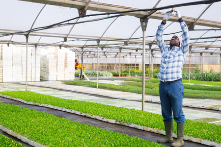 Focused african american man farmer opens a tap to wateringの写真素材